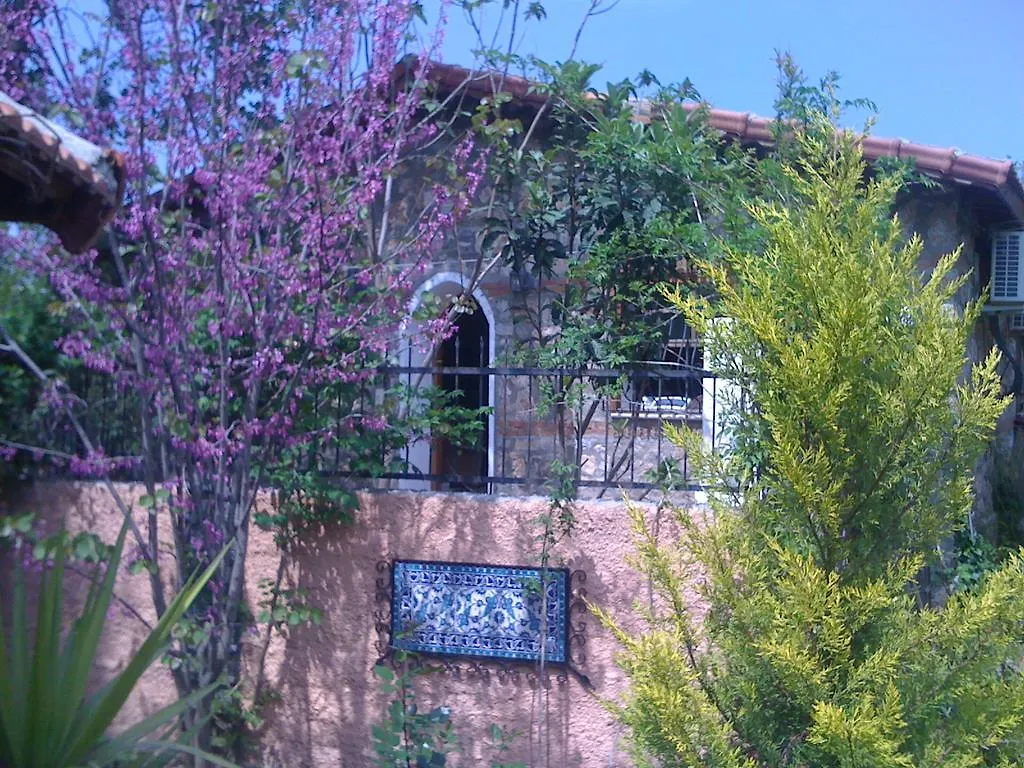 Fig Garden Cottages location