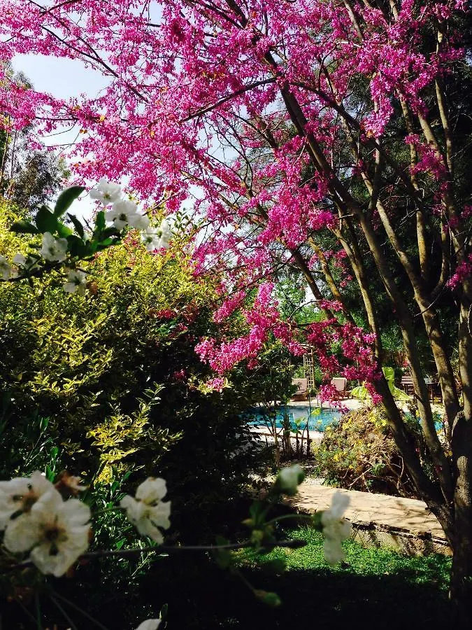 Holiday home Fig Garden Cottages Kayakoy Turkey